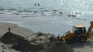 El animal muerto causó asombro entre turistas en Ballenita.