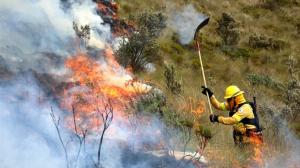 Los bomberos han trabajado de manera extensa en el combate al fuego. Son varios flancos por los que deben atacar.