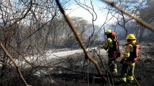 Bomberos de Quito actuaban contra el incendio forestal en Nayón.