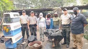 Animales silvestres rescatados en Ecuador