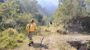 Bomberos de la zona centro del país trabajan en combatir el incendio forestal.