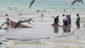 Pesca en Ecuador