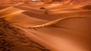 Durante este fin de semana se registraron lluvias en el desierto del Sahara.