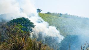 Incendios forestales se registraron en Esmeraldas.