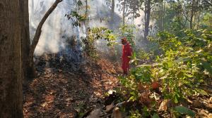 El incendio fue controlado luego de 12 horas.