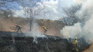 Bomberos tratan de apagar las llamas en Vilcabamba.