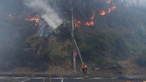 Incendio forestal Quito