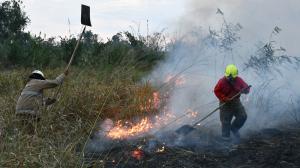 Los incendios forestales han consumido miles de hectáreas en Ecuador.