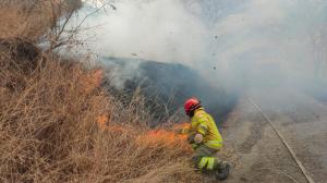 Más de 1.000 hectáreas se han consumido a causa del incendio.