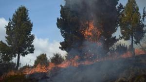 Incendio en sector Pansache