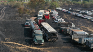 El incendio afectó un lote de vehículos en el Parque Samanes.