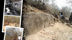 Bosque petrificado en cantón Las Lajas