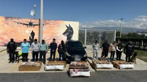 Las cajas de flores con droga estaban en la parte posterior de un avión que tenía como destino Catar.