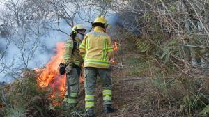 Incendio forestal en Zamora Huaico.