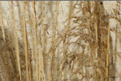 Gabriela Pazmiño prefiere guardar silencio sobre el tema.