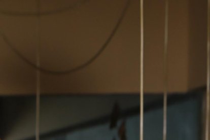 Dora West aclaró todos los malos entendidos en redes sociales.

PERIODISTA : REINALDO VASQUEZ 

FECHA : 04/12/2019 

Agencia (ag-extra)