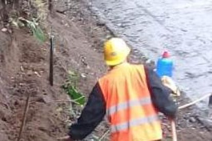 Con la siembra de plantas vetiver buscan estabilizar los cerros de la ruta del Spondylus.