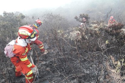 Hasta la mañana de este viernes 28 de agosto trataban de apagar el incendio