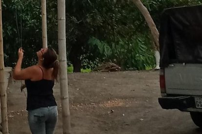 Con una cuerda Norma sube el dispositivo dentro de una malla hasta la punta de la caña.