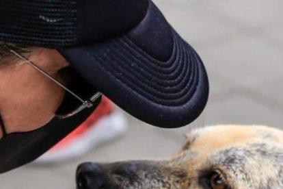 La actividad se realizó en la ciudadela Kennedy, el norte de la urbe. El 15 de octubre habrá otro evento similar.