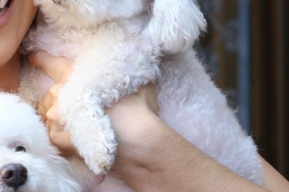 Junto a sus “hijos”, Titilipú y Coco José.