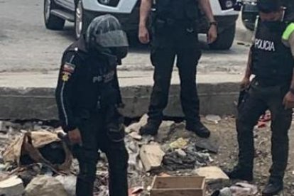 El hallazgo ocurrió en la cooperativa Mélida Toral, en el sur del Puerto Principal.