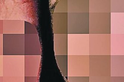 La niña estaba bajo los cuidados de trabajadores de Casa de Fe.