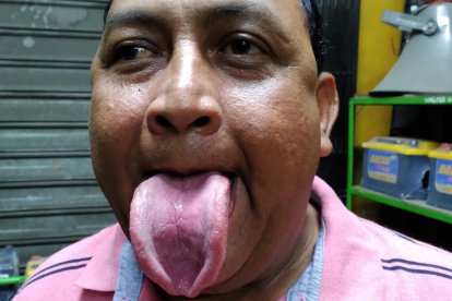 La dimensión de su lengua es de 18 centímetros de largo y de ancho 7 centímetros