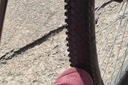 La joven fue aplastada contra un muro por un autobús.