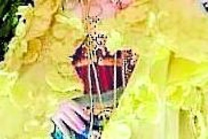 La imagen estuvo en su altar adornada con flores durante estos días de celebración.