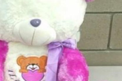 La marihuana venía escondida en adorables muñecos de felpa