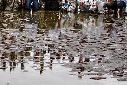 Los participantes de la jornada ambiental en Posorja.