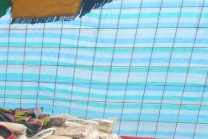 Además de los pedazos obtenidos de la especie vegetal, también venden polvo de palo santo, aceite y otros derivados.