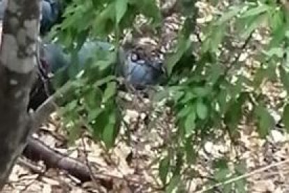 Darwin Simón Mendoza Vera fue hallado en avanzado estado de descomposición.