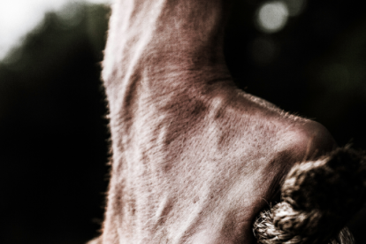 Referencia. Cuando los agentes policiales llegaron al hotel hallaron a un adolescente ahorcado.