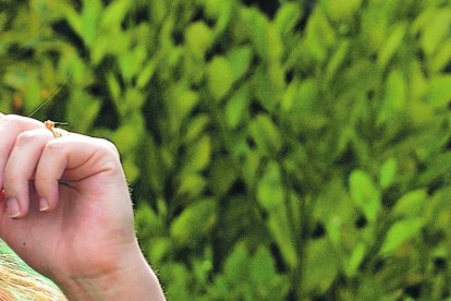 La pandemia convirtió a Dayana Morán en una súper mujer. Hoy distribuye su tiempo entre sus roles de trabajadora, mamá, empresaria y esposa.