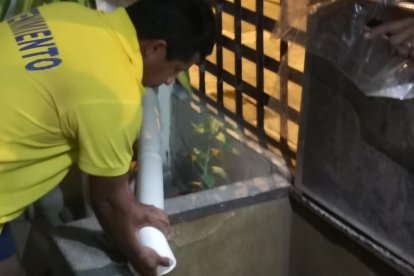 Moradores han adaptado canaletas en los techos, para que mediante tubos se llenen las cisternas con agua de la lluvia