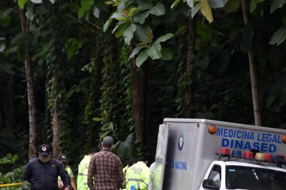 El cuerpo fue llevado a la morgue. A los propios agentes policiales le causó horror el suceso.