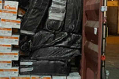 La droga incautada dentro de un contenedor.