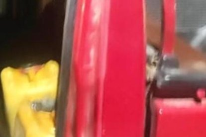 Las canecas con el combustible halladas detrás del asiento de la camioneta.