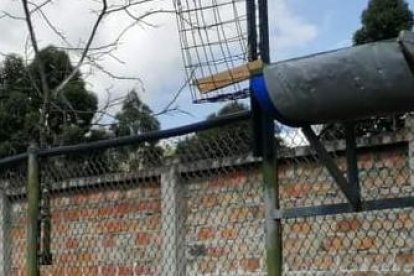 La jirafa macho que 'pasó a mejor vida'