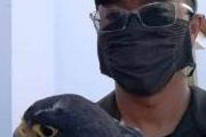 El ave silvestre junto a los rescatistas.