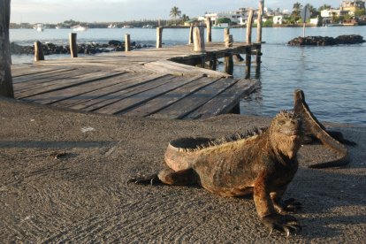 El Ministerio de Turismo socializa nuevo esquema de requisitos para entrar al país. Antes solo se presentaba una prueba o el carné, ahora ambas.