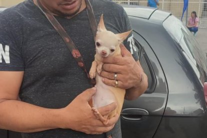 Fernando, el rescatista canino, estuvo presente en la entrega de la perrita.