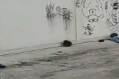 Al sitio llegaron agentes de la Autoridad de Tránsito y Movilidad y de la Comisión de Tránsito del Ecuador.