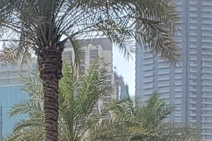 Para Dubái necesitas visa, se la pide vía on line, donde el pasaje y la estadía son la garantía.