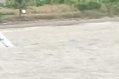 Avioneta de la Policía cae al mar con seis tripulantes