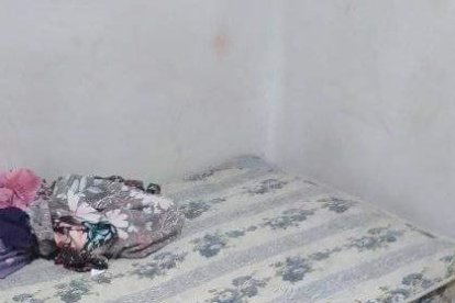 Varios disparos recibieron Cachorro (izquierda) y Miney (derecha).