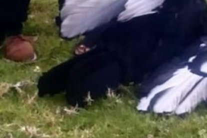 Una vez que se determinen las causas de la muerte, se procederá con las acciones pertinentes, con la finalidad de esclarecer los hechos.