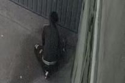 Los animalitos aparecen estrangulado o asesinados a pedradas.